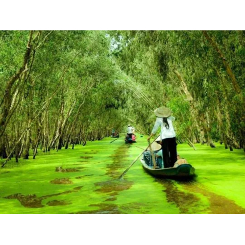 Chương trình du lịch nội tỉnh An Giang 2020 - AGNN 05